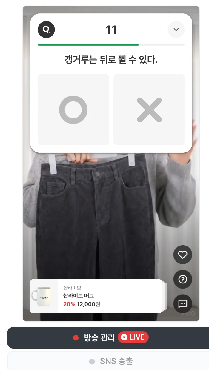 퀴즈/설문 팝업 노출